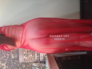 Проститутка Талдыкоргана Анкета №523273 Фотография №3948604