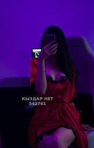 Проститутка Алматы Анкета №542741 Фотография №4070520